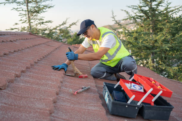 Best Storm Damage Roof Repair  in Notasulga, AL